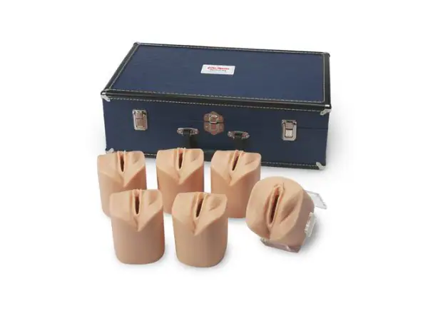 Ontsluitingsfase Cervix Simulator
