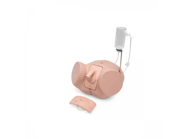 Pro Katheterisatie Simulator Set