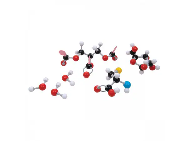 Organisch Moleculen Set D