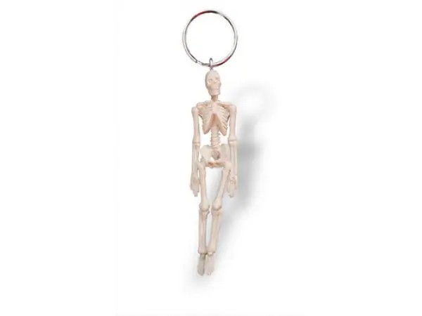 Sleutelhanger Skelet