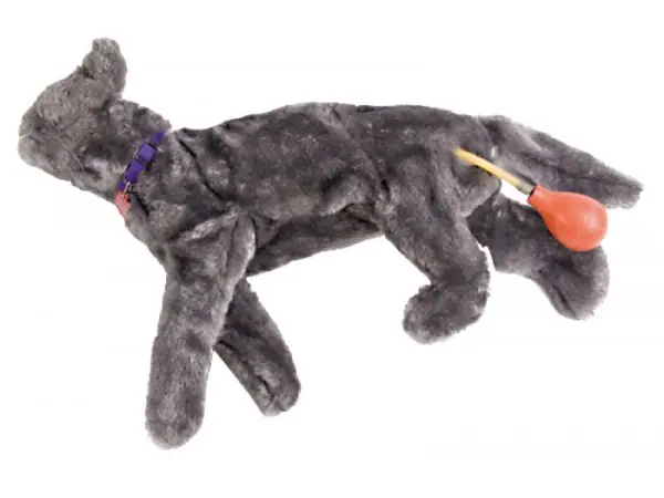Reanimatie Trainer Kat Fluffy