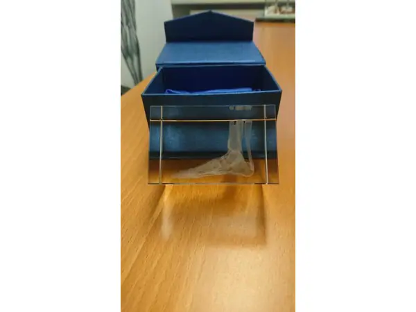 Anatomie Glasblok Voet