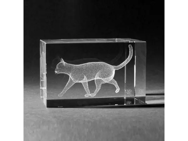 3D Glasblok Kat