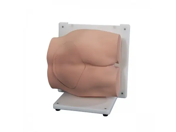 Beenmergbiopsie Vaardigheidstrainer