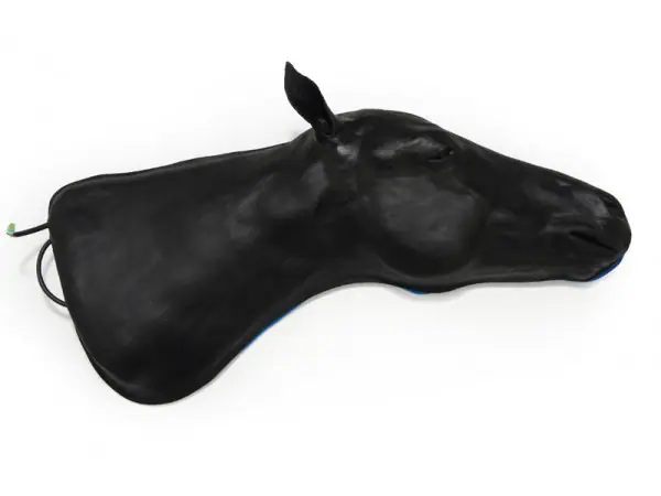 Vaardigheidstrainer Paard