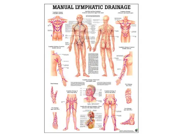 Lymfedrainage Poster