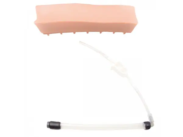 Geriatrische Huid voor Epidurale & spinale punctie oefenfantoom