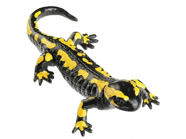 Gestreepte Vuursalamander Model