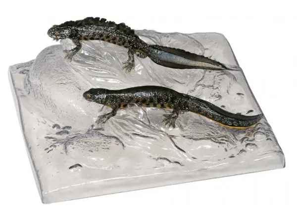 Kamsalamander Modellenset