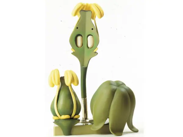 Model Bloem van de Wijnstok
