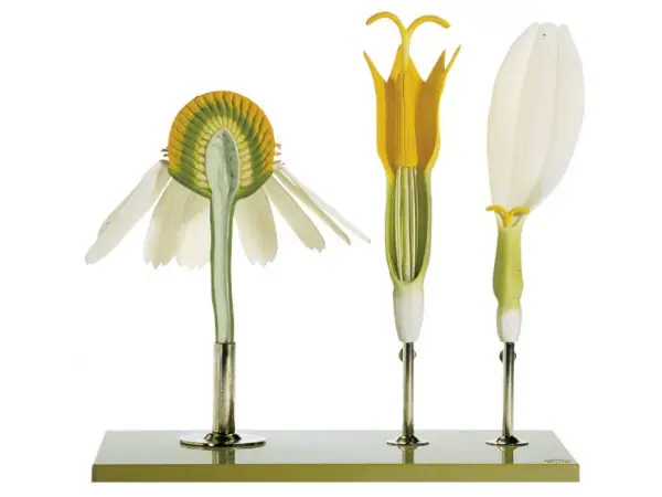 Echte Kamille Model, 3-delig