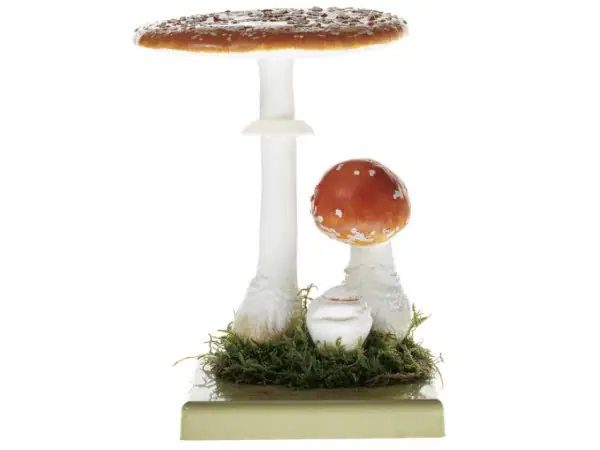 Vliegenzwam Model