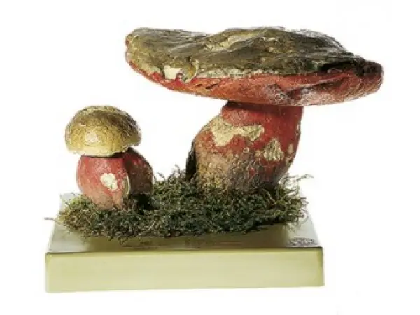Satansboleet Model