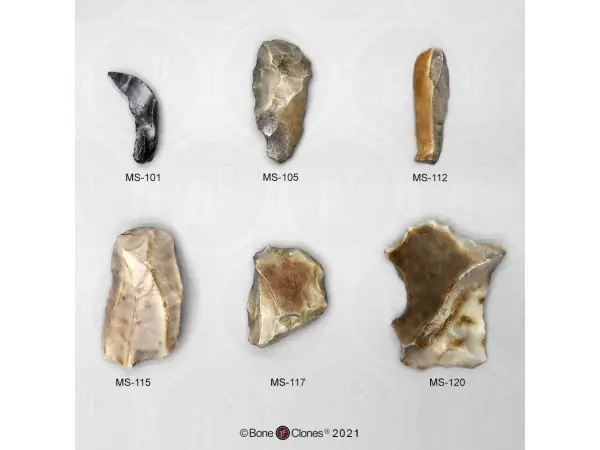 Fossielenset Werktuigen Neanderthalers, 6-delig