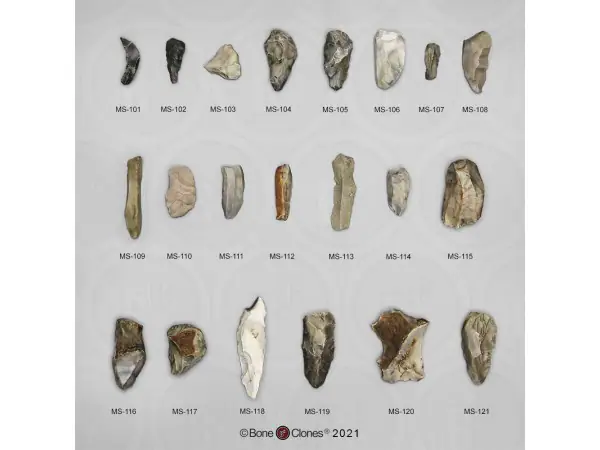 Fossielenset Werktuigen Neanderthalers, 21-delig
