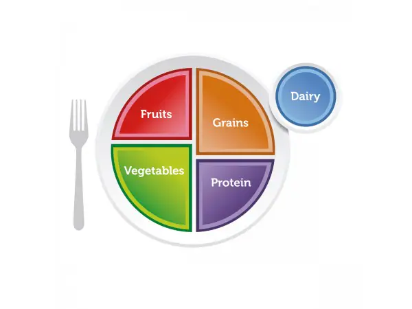 MyPlate Bord