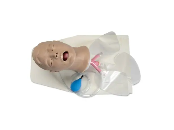Luchtwegbeheer Trainer Volwassene