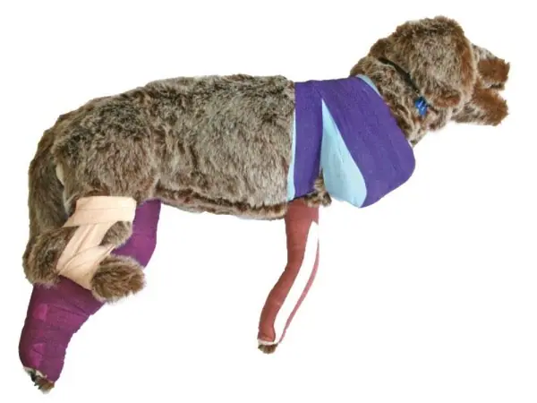 Oefenmodel Bandage Hond