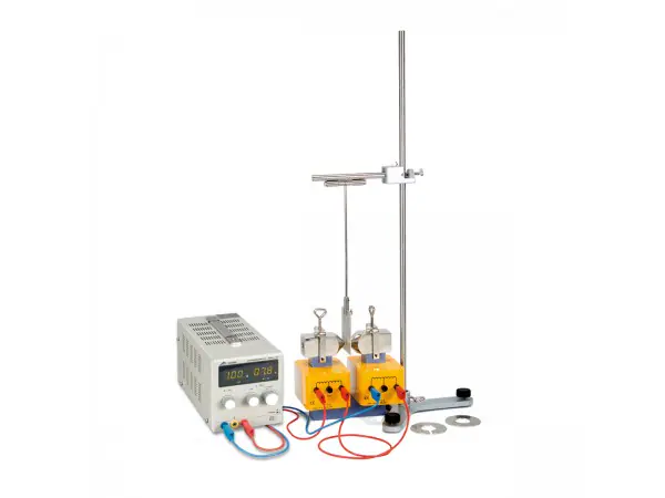 Slinger van Von Waltenhofen Experiment