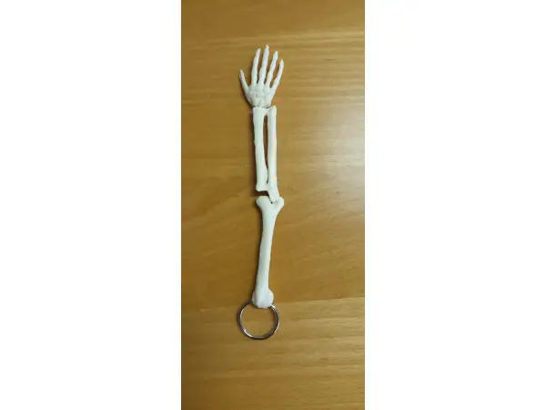 Grote Sleutelhanger Arm