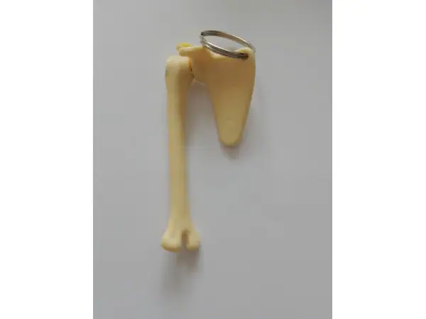 Sleutelhanger Schouder