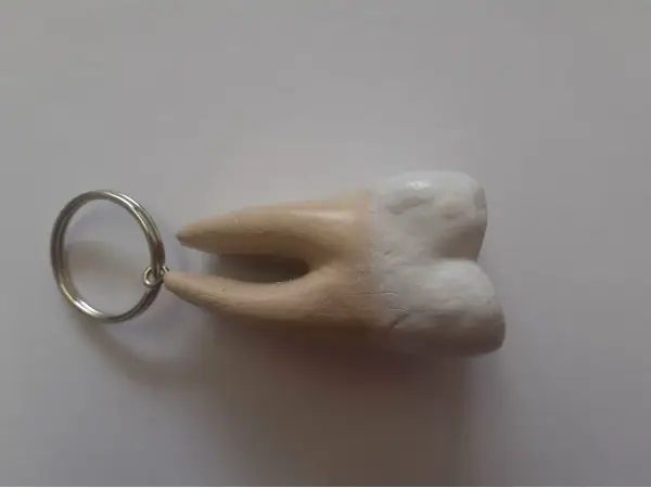 Grote Sleutelhanger Kies