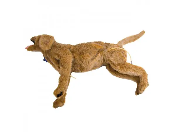 Luchtwegbeheer Trainer Hond