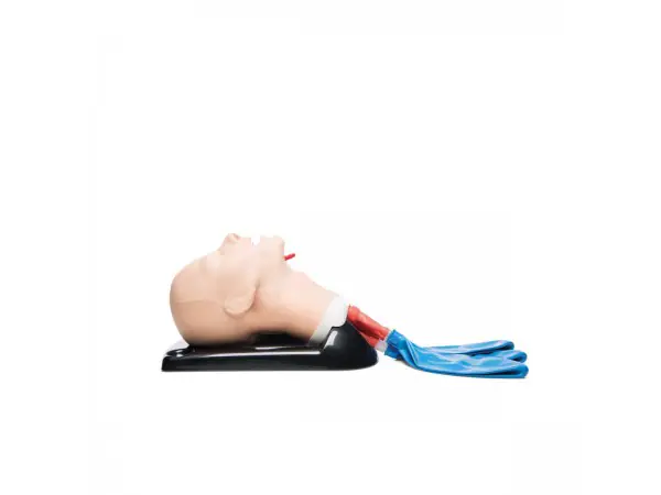 Geavanceerde AirSim Airway Management Trainer