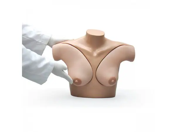 Simulatiemodel Zelfonderzoek Borsten