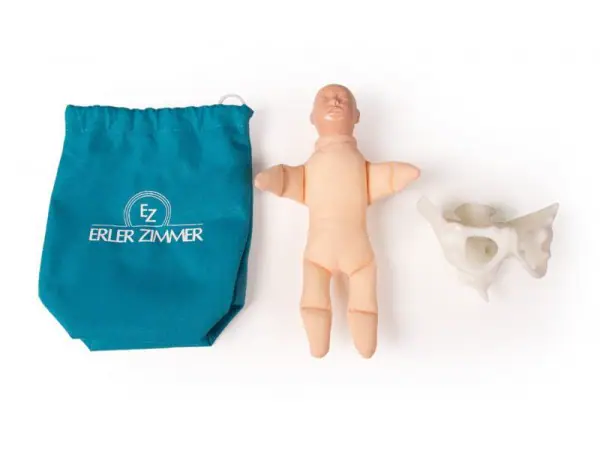 Mini Bekkenmodel met Foetuspop