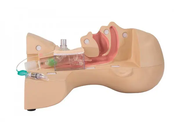 Oefenmodel Tracheotomie