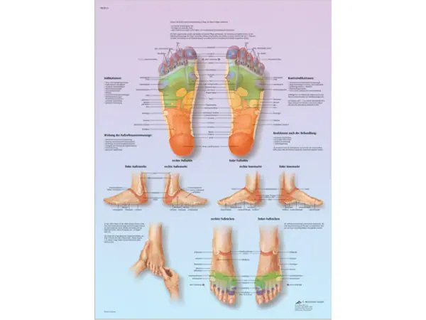 Voetreflex zone Massage, gelamineerde wandplaat