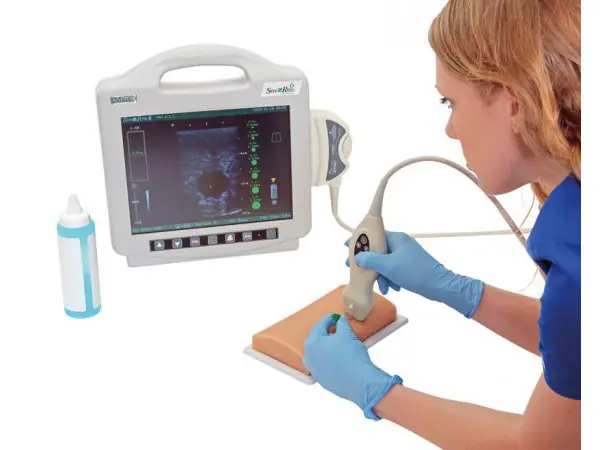 Vasculaire Toegang Echografie Model