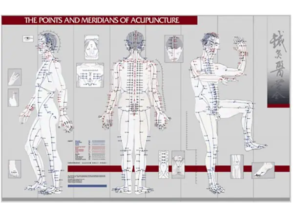 Points & Meridians of Acupuncture, wandplaat