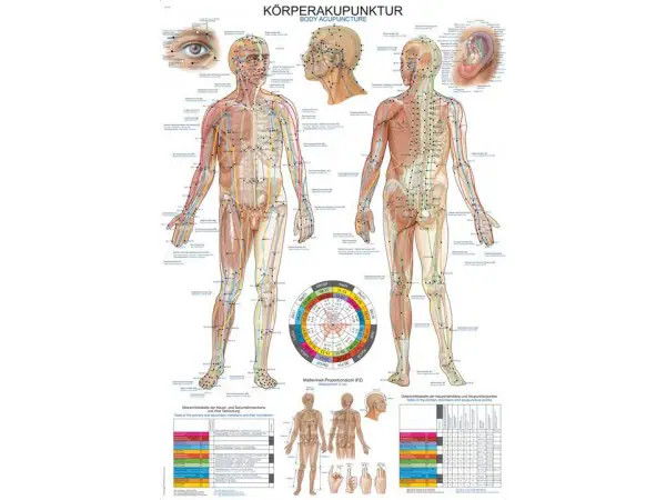 Body Acupuncture, wandplaat 70x100cm