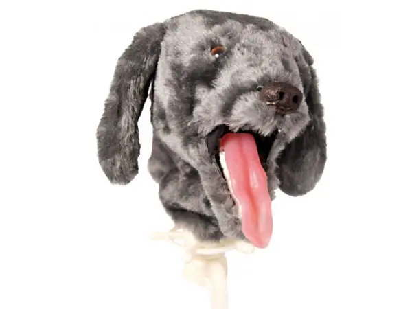 Intubatie Trainer Hond