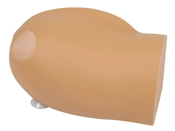 Amy Arm Intraossale Trainer