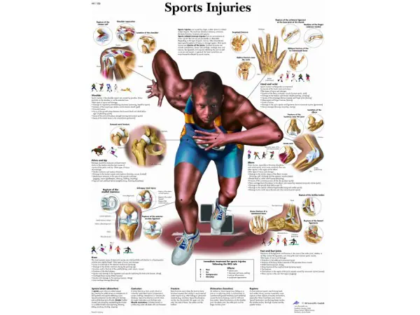 Anatomie Poster Sportblessures, gelamineerd