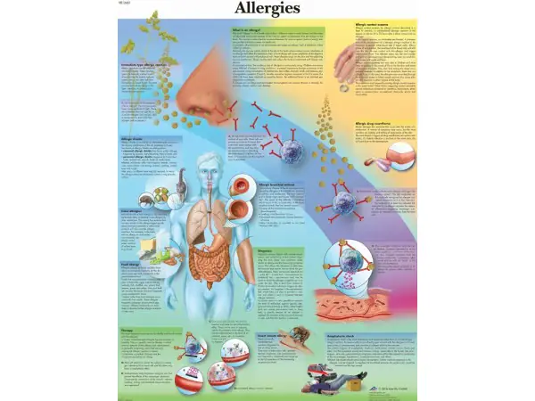 Allergie, papieren wandplaat
