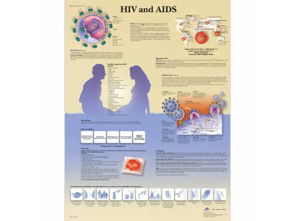 Aids & HIV, papieren wandplaat