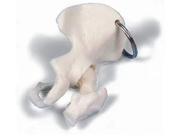 Sleutelhanger Heup