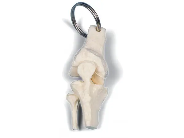 Sleutelhanger Knie
