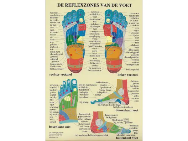 Reflexzones Voet A4 Kaart Nederlands