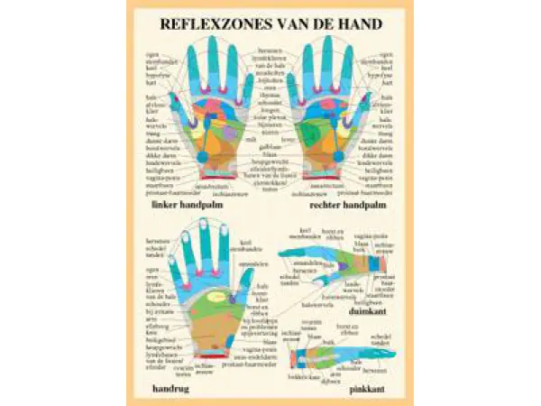 Reflexzones Hand A4 Kaart Nederlands