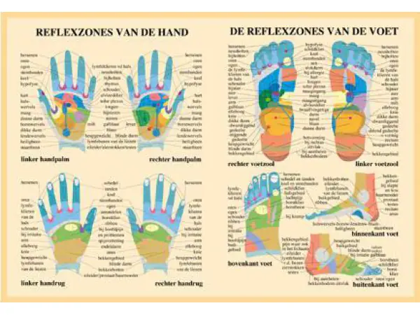 Reflexzones Poster A2 Hand en Voet Nederlands