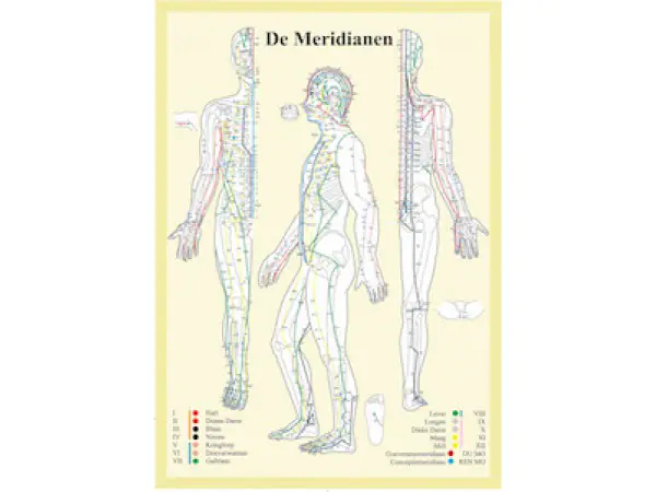 Meridianen Poster A2 Nederlands